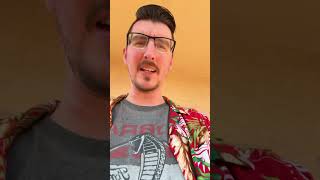 Shoulder Holsters Are Awesome.