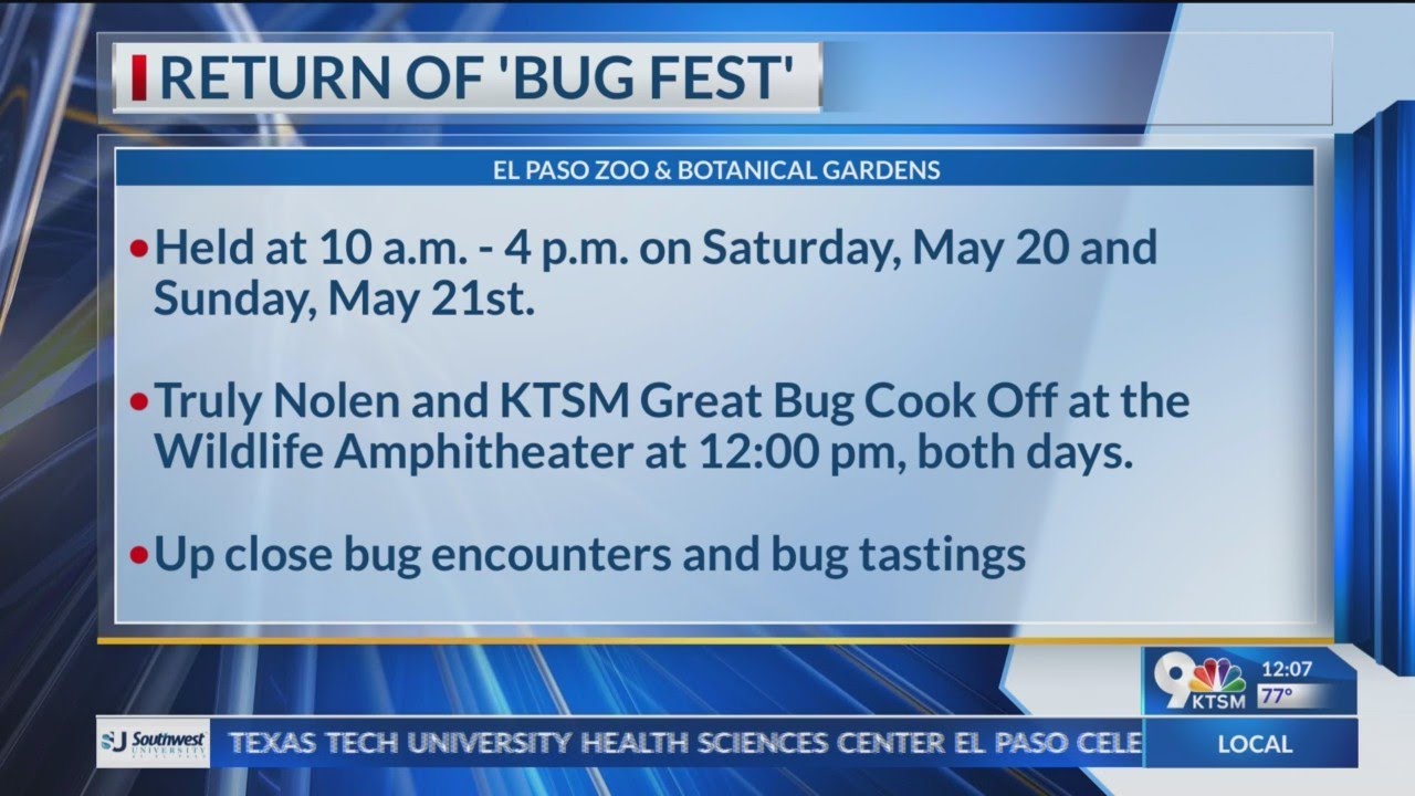 El Paso Zoo Returns With Bug Fest YouTube el-paso-zoo-returns-with-bug-fest-youtube