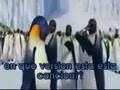 happy feet-boggi  i'll make love to you