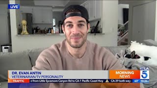 Instagram’s 'Sexiest Veterinarian' Dr. Evan Antin on his New Memoir “World Wild Vet"