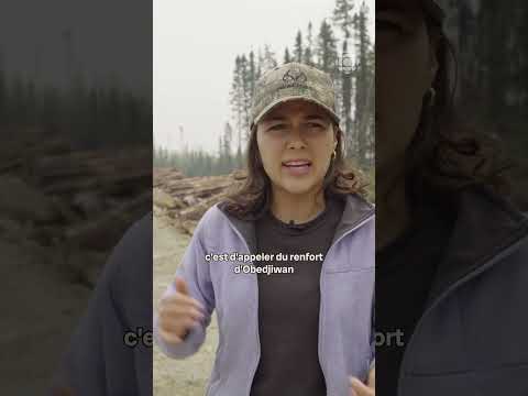 Face à Face Entre Autochtones Et Travailleurs Forestiers 