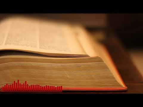 البروليتاريا برنامج القاموس السياسي اعداد وقراءة اريج الصفار 