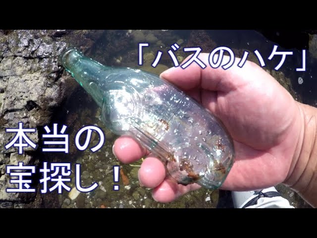 バスのハケのボトルディギング#1】 一度は見るべき伝説のお宝回