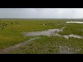 ¡El Lago de Texcoco ya es Área Natural Protegida!