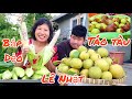 LÊ vàng, BẮP tím, TÁO TÀU, THANH LONG đỏ, thu hoach mỏi tay trong vườn nhà ở Mỹ