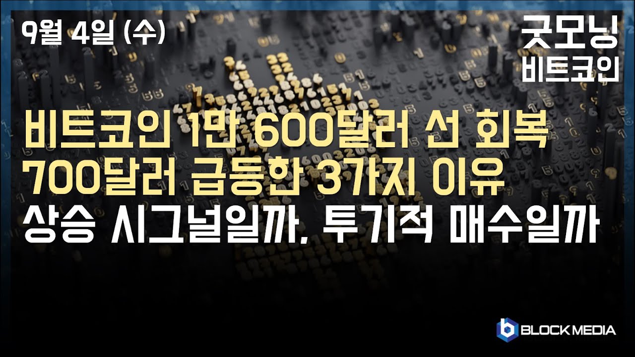 [굿모닝 비트코인] 0904 비트코인 1만 600달러 선 회복, 4시간 차트에서 3,300달러 이후 처음으로 상승.. 비트코인 가격  급등한 3가지 이유