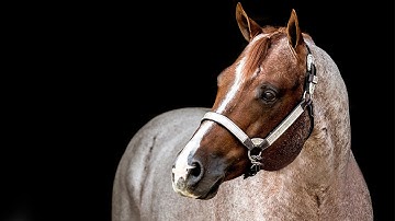 VS Code Red: 60 Second Commercial