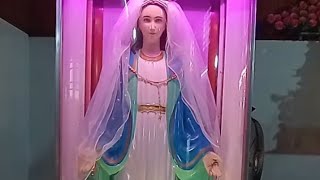 Miraculous Medal Chapal,Kaloor, Thodupuzha,kerala  is live