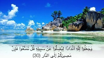 سوره إبراهيم من أيه ٢٨ إلى ٣٠ بصوت ماهر المعيقلي