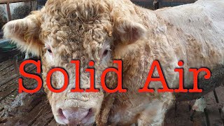 Solid Air Jon Martyn Cover
