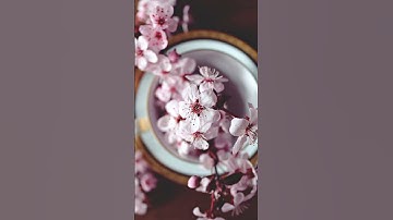 قَالَ رَبِّ اشْرَحْ لِي صَدْرِي|#شريف_مصطفى |#القرآن_الكريم |#سورة_طه