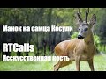 Манок на самца косули RTCalls Искусственная кость Охота на косулю с манком