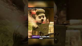 Zootopia Secretly Revealed the Real Founder of Mr. Big’s Mafia