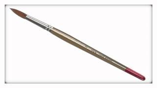 SAA Gold Brushes - Size Twelve Round