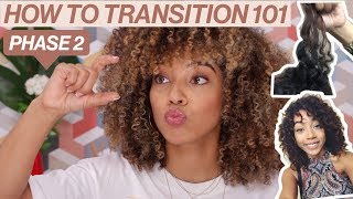 How To Transition To Natural | Phase 2 - Transitioning Hairstyles &amp; Curl Typing