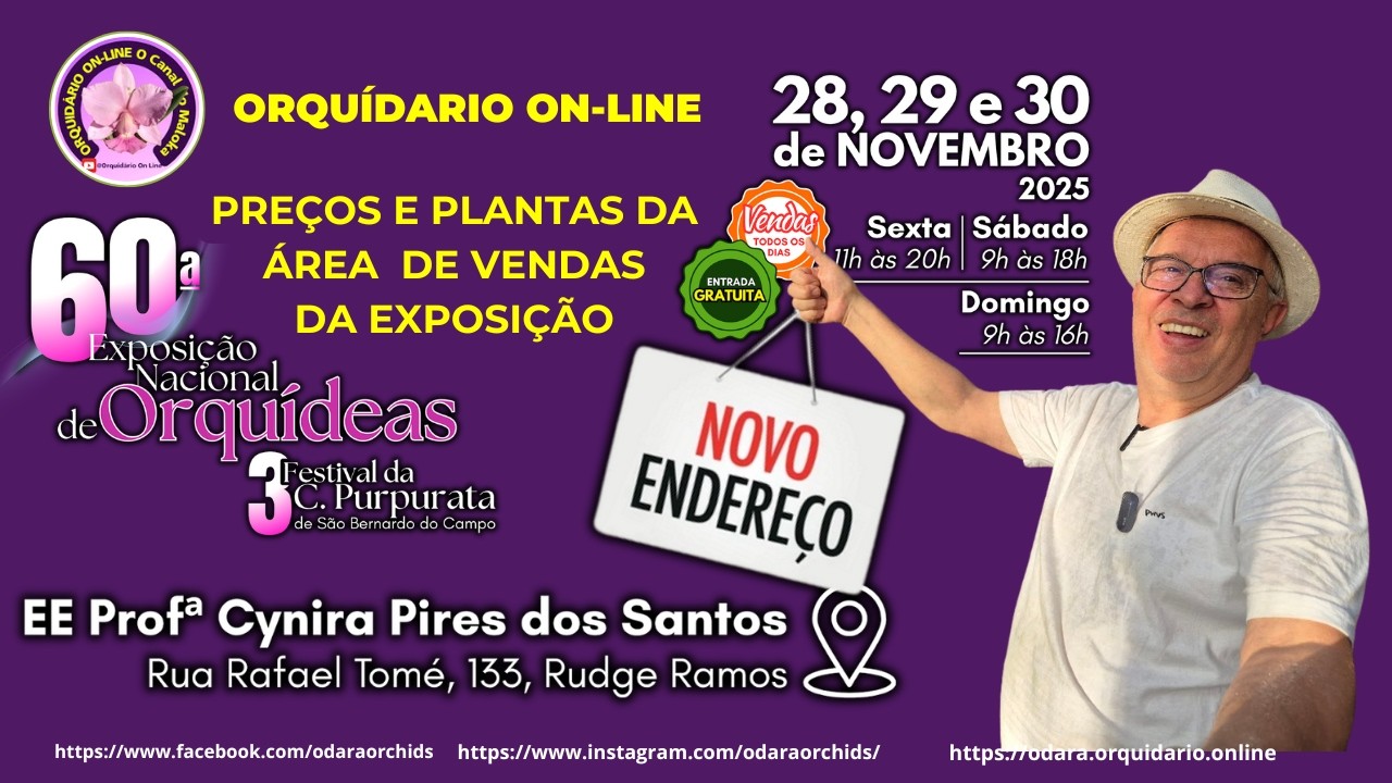 💖 Área de Vendas da Exposição de Orquídeas de São Bernardo do Campo SP Veja Plantas e Preços Visite