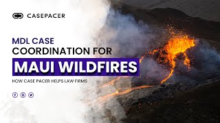 MDL Case Coordination for Maui Wildfires | How CasePacer Helps Law Firms