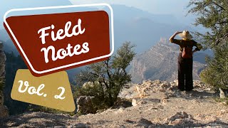 Way Out There // Field Notes Vol. 2