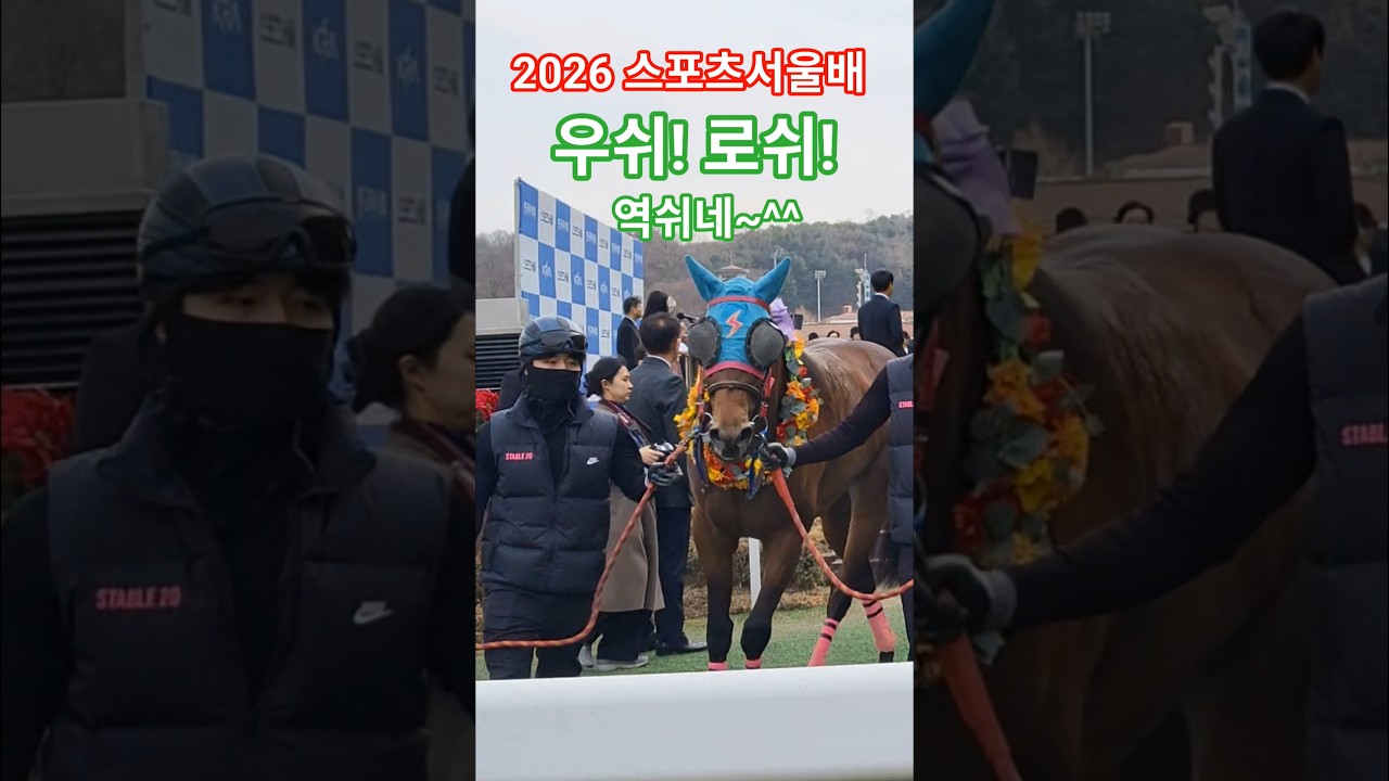 삼관마 도전 가즈아~ #대상경주 #말#달려라말 #shorte #horse