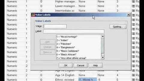 Ordinal Regression using SPSS, Part 1
