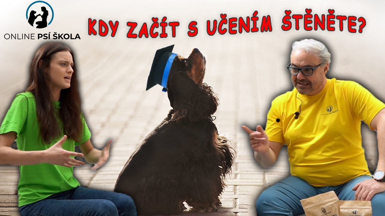 30. díl Kdy začít s výchovou štěňátka - Online psí škola s Martinem Zounarem