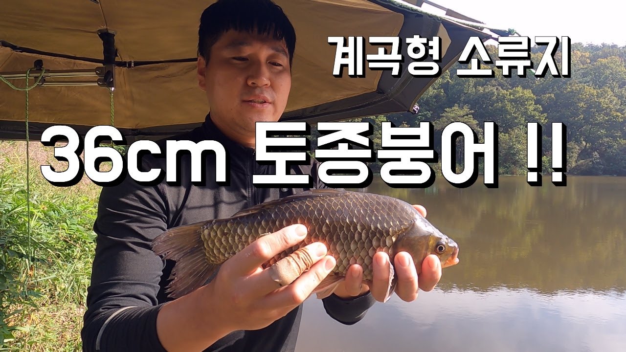 가재가 살고있는 1급청정 계곡지 ! Corn shrimp bait fishing. YouTube