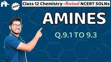 Amines Class 12 Chemistry | Revised NCERT Solutions | Chapter 9 Chemistry Q.9.1 to 9.3