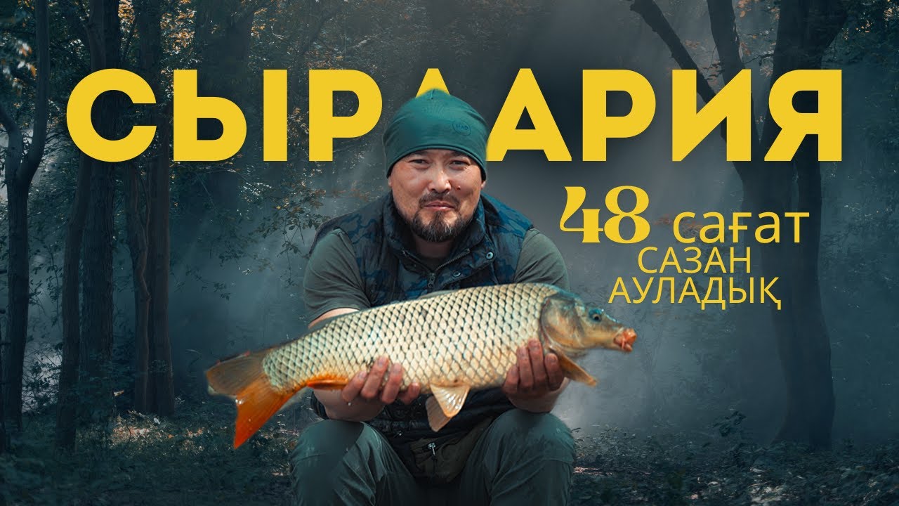 СЫРДАРИЯ САЗАН АУЛАУ