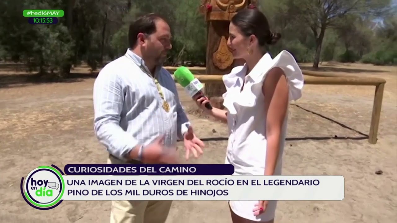 Hoy en día | El Pino de los Mil Duros, el árbol que 'revivió' como una imagen de la Virgen del Rocío