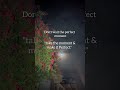 Make it Perfect💗 #ca #viral #viralvideo #shortvideo #shorts #trending #foryou #ytshorts