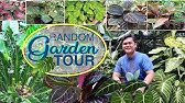 Where To Buy Plants And Garden Soil In Cebu City Simplie Plants And Trading Youtube