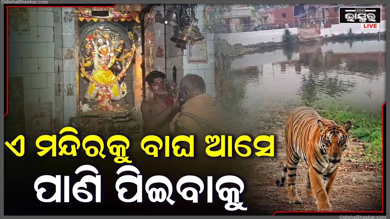 ଏମିତି ଏକ ମନ୍ଦିର !ଯେଉଁଠି ପୂଜା ପାଉଛନ୍ତି ଭିନ୍ନ ଦିଅଁ, ଏ ମନ୍ଦିରରେ ମାନସିକ କଲେ କେହି ଖାଲି ହାତରେ ଫେରେନି...