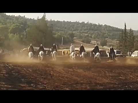 وعدة الوالي الصالح سيدي عواد 2022