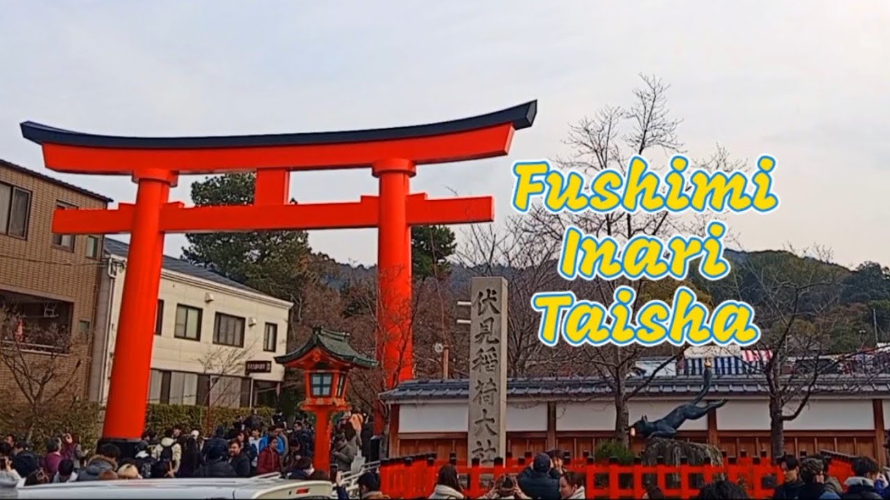Fushimi Inari Taisha experience.