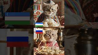 Котята едят еду народов мира #Казахстан #Россия #Узбекистан #Украина