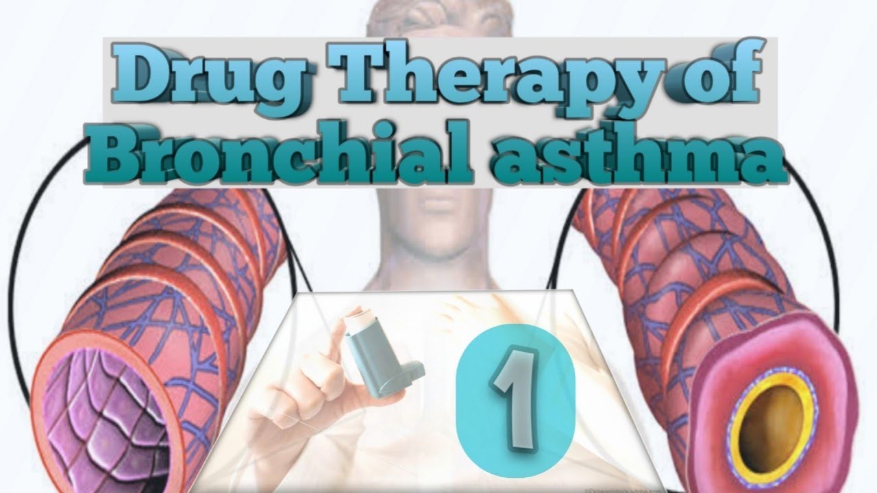 Drug Therapy of Bronchial asthma ( part 1) YouTube