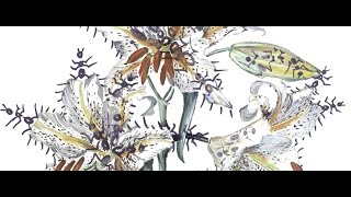 Coffee with a Curator: The Art and Science of Botanical