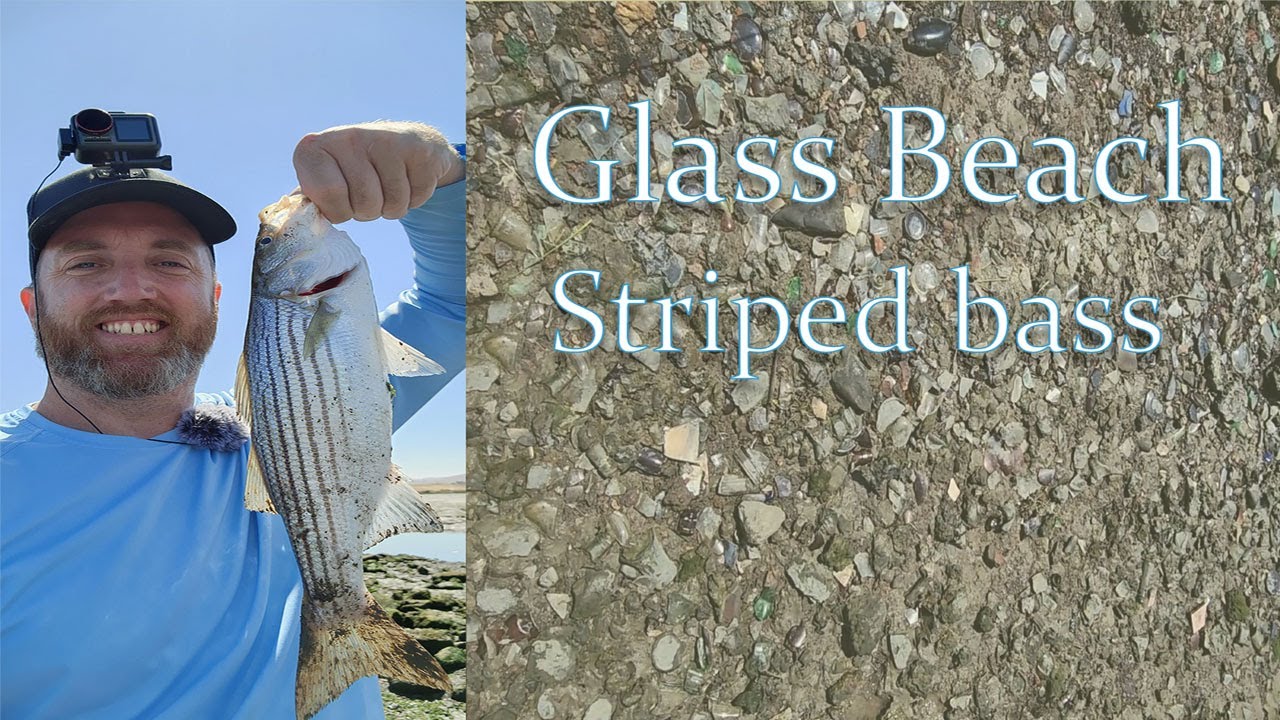 Striped Bass on a swimbait I found in the water. YouTube