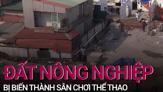 Hà Nội: Đất nông nghiệp bị biến thành sân chơi thể thao, dân bức xúc kêu cứu | VTC Now