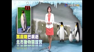 好久不見黑麻糬...詢問動物園竟已病逝