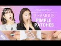 All About Acne Patches / Pimple Patches! | How to Remove Acne Marks by 80% As You Sleep