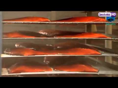 فيديو: كيفية صنع سمك مدخن ساخن