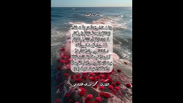 سورة النساء ٢٤ #قرآن #قرآن_كريم #قران #قران_كريم #قرأن #quran