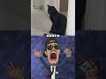 PQ gatos DORMEM tanto?