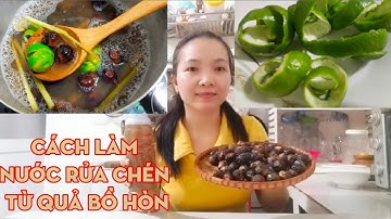 Cách làm nước rửa chén từ quả bồ hòn | How to make dishwashing liquid from soap nut fruits