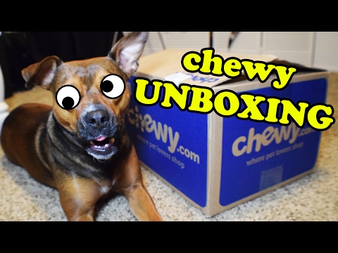 A Better Emoji Movie Extra Bonus Footage Dog Plays With Dozens Of Emoji Plushies Youtube