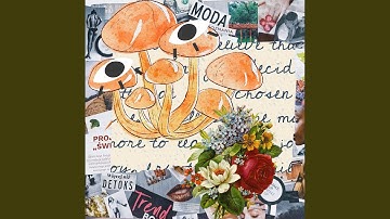 Peaceful Backdrops for Better Keynotes