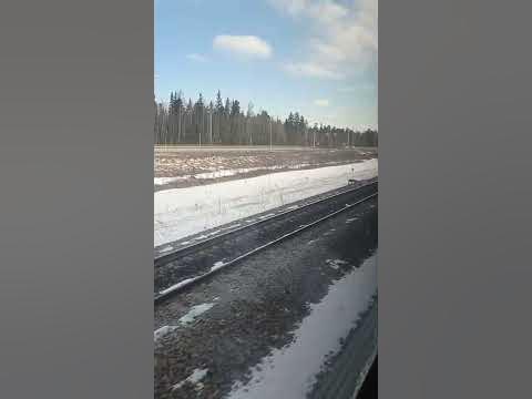 поезд едет - YouTube