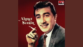 Aç Aç Kollarını Resimi