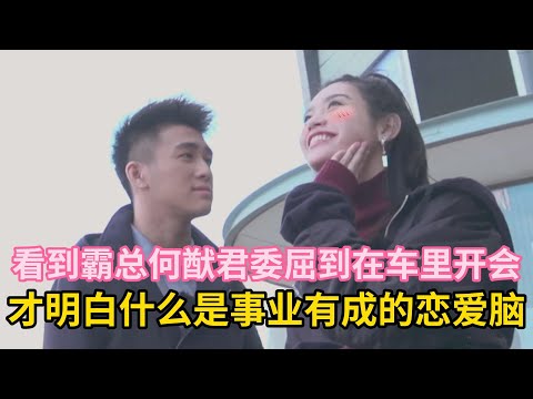 看到霸总何猷君委屈到在车里开会，才明白什么是事业有成的恋爱脑#何猷君  #奚梦瑶